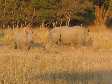 Arik and Craig in the South African Bushveldt