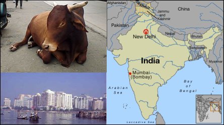 <Mumbai India