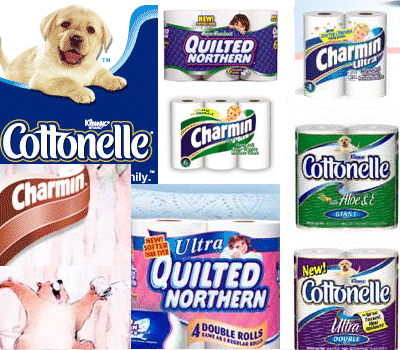 Brands on Competitive Intelligence  Toilet Paper Wars  Charmin Vs  Quilted